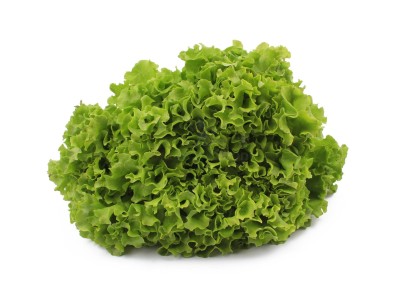 Салат романо 1 кг - купить в Аргамаке